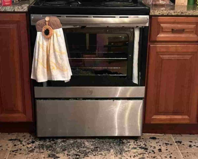 Understanding Oven Door Shattering and Preventive Measures